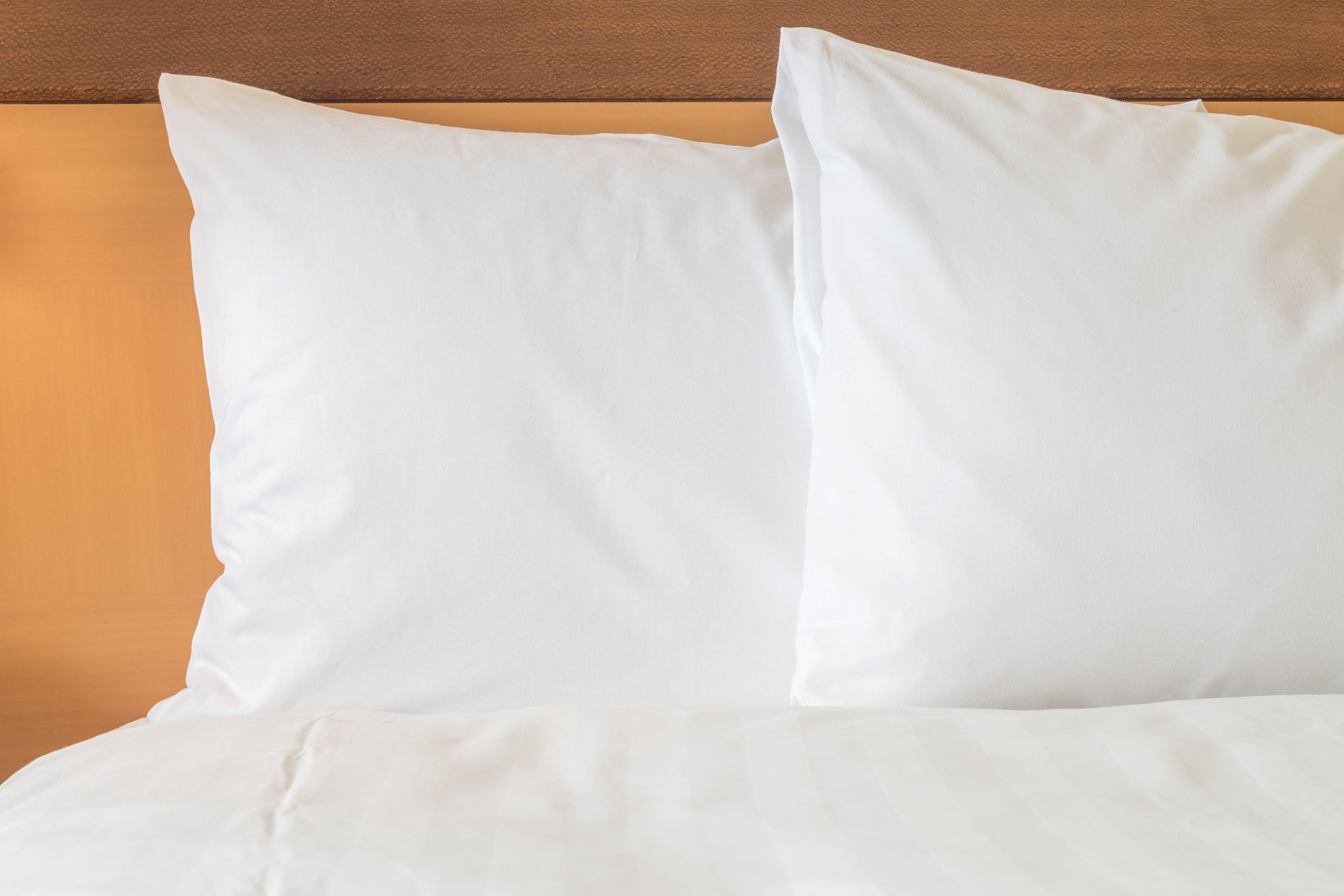 Holiday Inn Express & Suites Ludington By Ihg Екстер'єр фото